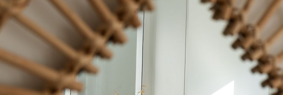 Détail